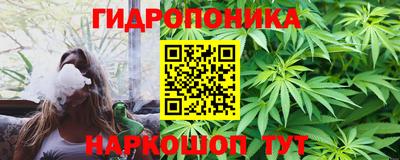 индика Конаково